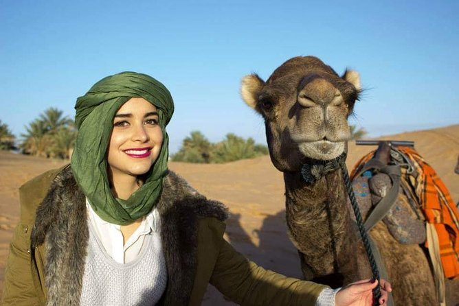 Merzouga Camel ride & Quad Bike - Price and Value: What $103.37 Buys in Merzouga