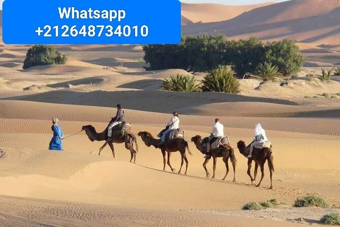 Merzouga Camel Trekking 1 Night Experience - Key things to know before you go