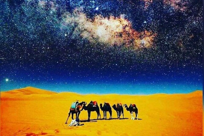 Merzouga Camel Trekking 1 Night Experience - Who This 1-Night Merzouga Trek Suits Best