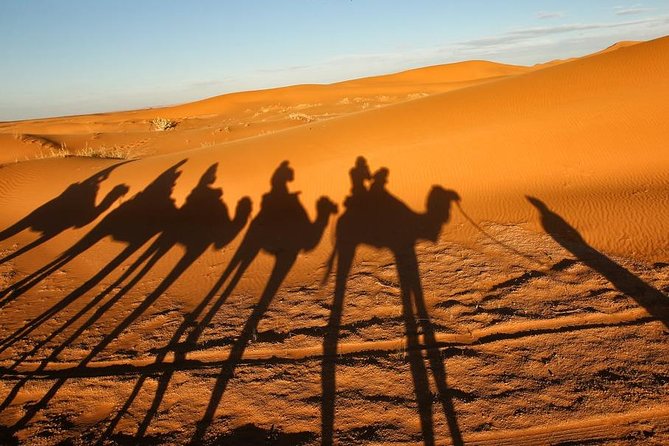 Merzouga Camel Trekking & Overnight Desert Camp - Practicalities that affect your comfort (more than you think)