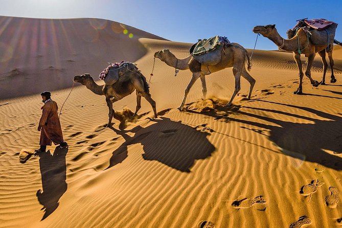 Merzouga desert 2 night 3 Days charred tours - Day 1: Aït Benhaddou, Ouarzazate, then the Dades Gorges hours