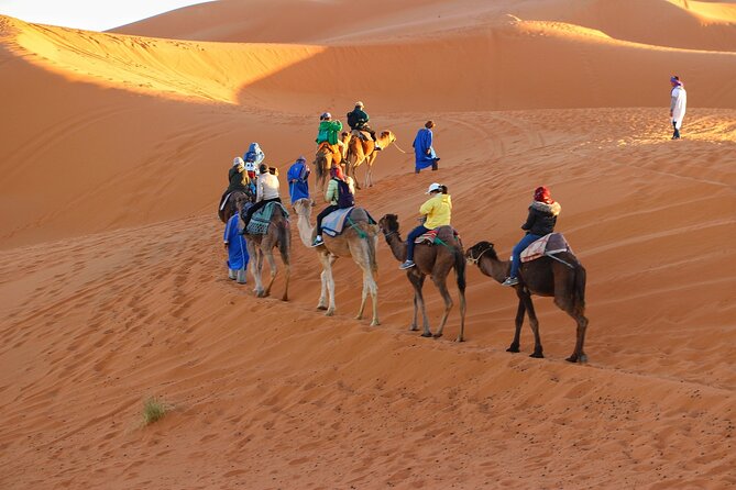 Merzouga Desert Campsite &Camel Excursions - Sunset stop plus sandboarding on the dunes