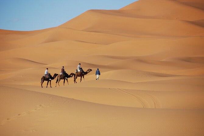 Merzouga Desert Campsite &Camel Excursions - Camel ride vs jeep transfer to camp