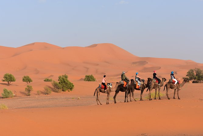 Merzouga Desert Morocco - Should you book this Merzouga overnight camel and dunes trip?