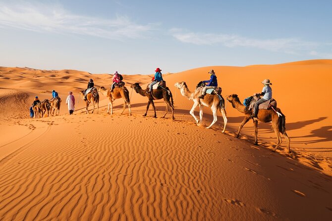 Merzouga Desert Overnight, Camel, Sandboarding - A Merzouga desert night that actually feels like the Sahara