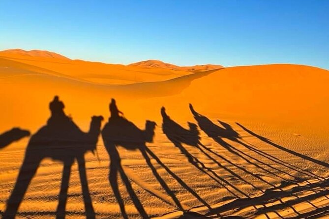 Merzouga Desert private 4 days Tour from Marrakech - Day 2: Todra Canyon Walk, Fossil Country (Erfoud), Rissani, then Erg-chebbi