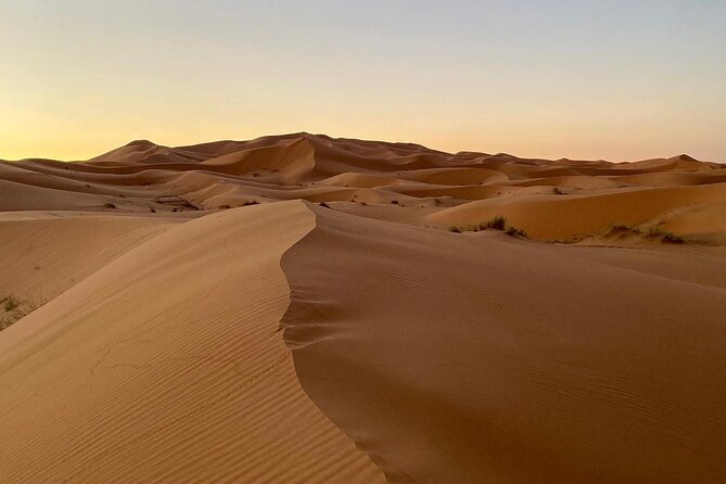 Merzouga Desert Quad bike Adventure with Sand boarding - Quad-bike speed in Erg Chebbi, without the long-day slog