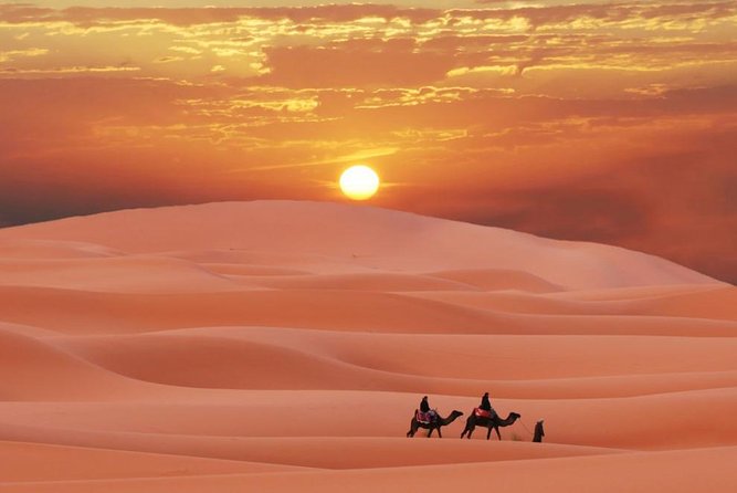 Merzouga desert tour from Marrakech & camel ride - Key Things I’d Bet Your Time On