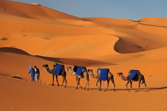 MERZOUGA DESERT TREK - 3 DAYS From Marrakech - Day 2: Dades Valley to Tineghir, Todgha canyon trek, then Erg Chebbi at sunset