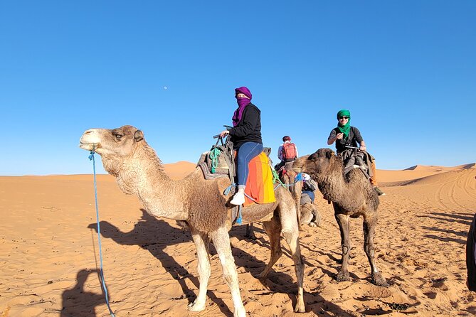 MERZOUGA DESERT TREK - 3 DAYS From Marrakech - Small practical tips that make this tour smoother