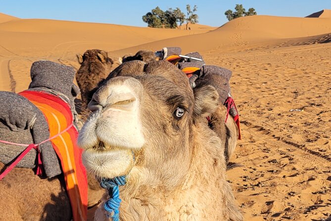 MERZOUGA DESERT TREK - 3 DAYS From Marrakech - What’s included (and what the included meals really mean)