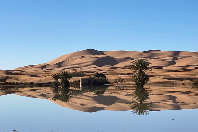 Merzouga Jeep 4WD Desert Tour: Sahara Adventure - Price and value: $114.98 per group up to 4