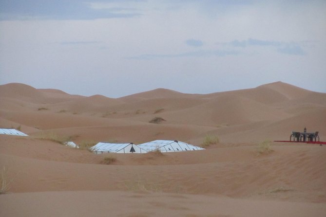 Merzouga - Magic Sahara Tour : 3 Days /2 Nights - Merzouga desert night: what the camel trek and camp really give you