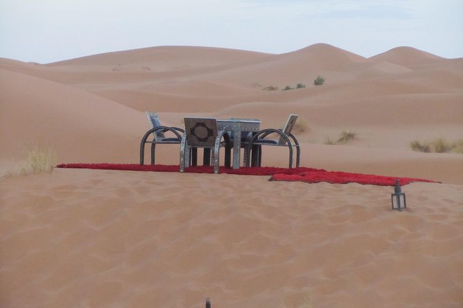 Merzouga - Magic Sahara Tour : 3 Days /2 Nights - Todra Gorge: the quick stop that can turn into your favorite photo hour