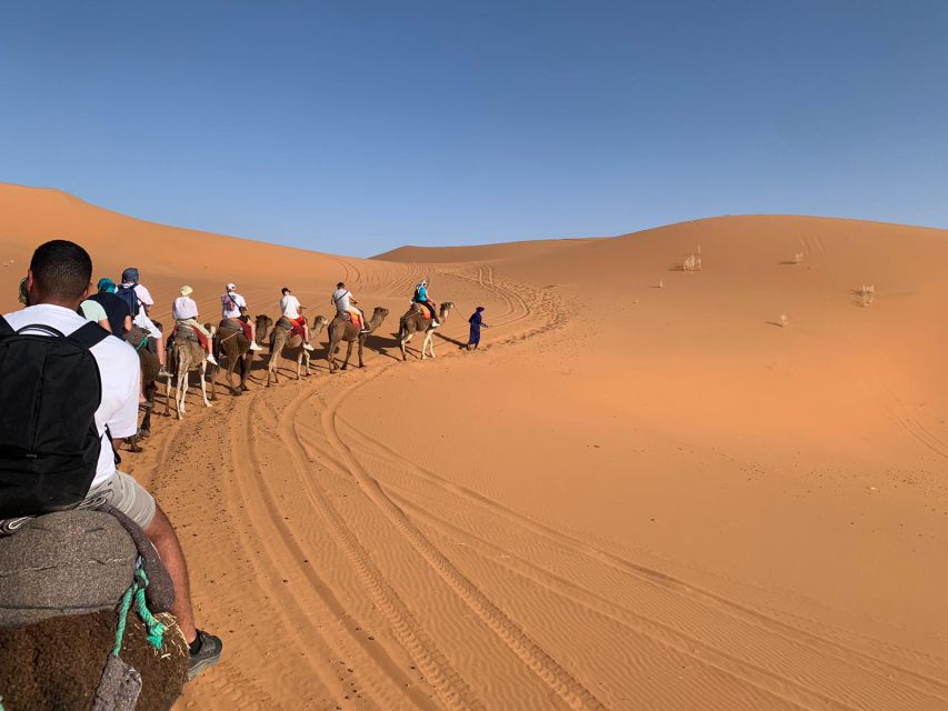 Merzouga: Overnight Camel Trek with Sandboarding - Sandboarding on the dunes: how to set expectations for fun