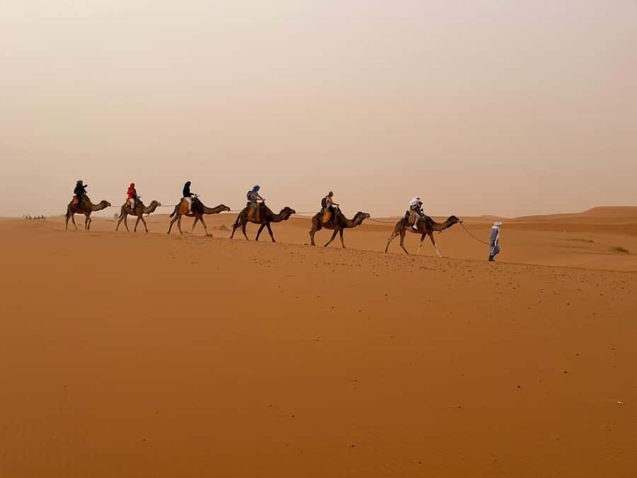 Merzouga: Overnight Camel Trek with Sandboarding - Overnight comfort: what “private tent” means for your night