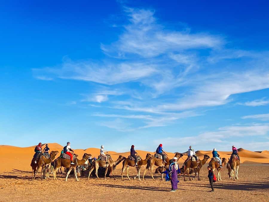 Merzouga: Overnight in Luxury camp with camels dinner - Price and Value: Is $84 Fair for What You’re Getting?