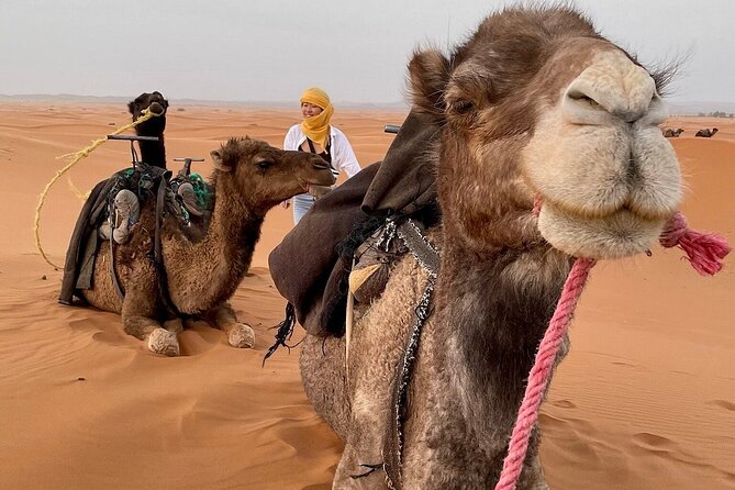 Merzouga Overnight Stay in a Berber Tent and Camel Ride - Sunrise over Merzouga: why the dawn wake-up is worth it