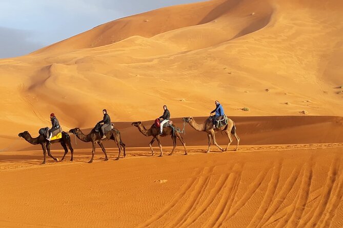 Merzouga Sunset Camel Ride - Photo time without turning it into a chore