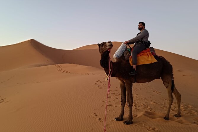 Merzouga Sunset Camel Ride - Price and value: $11.69 per person for a real desert moment
