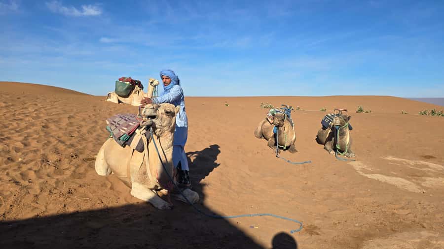M’Hamid: 3-Day Sahara Trek & 4x4 Continuation to Erg Chigaga - Key Things That Make This Trek-Mix Worth Your Time