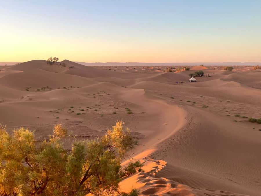 M’Hamid: 3-Day Sahara Trek & 4x4 Continuation to Erg Chigaga - From M’hamid To Erg Chigaga: What This 3-Day Mix Really Delivers