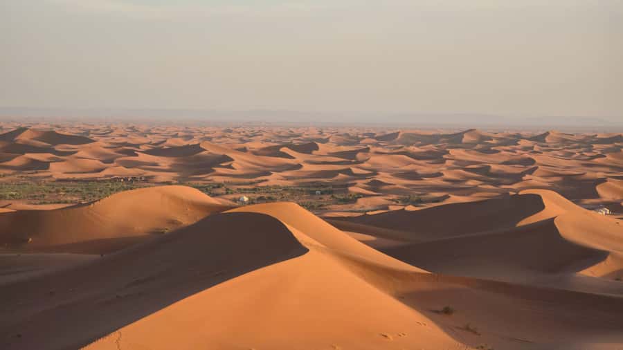 M’Hamid: 3-Day Sahara Trek & 4x4 Continuation to Erg Chigaga - Day 2: Sunrise Trek, Tamaris Lunch, and 4x4 to Morocco’s Highest Dunes