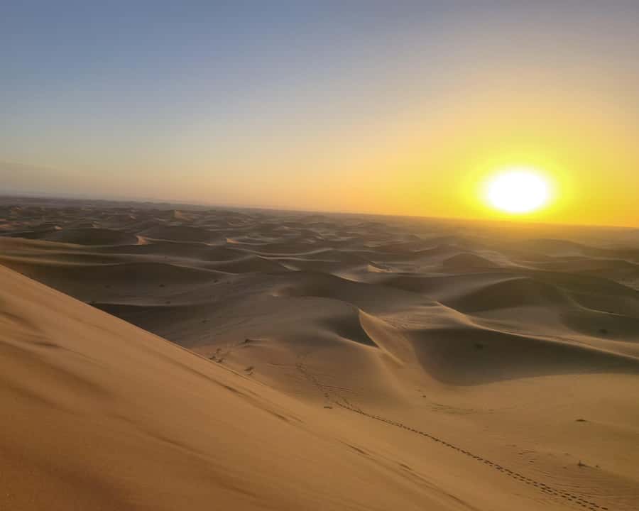 M’Hamid: 3-Day Sahara Trek & 4x4 Continuation to Erg Chigaga - Day 3: Early Dunes, Quick Return, and How to Plan Your Final Morning