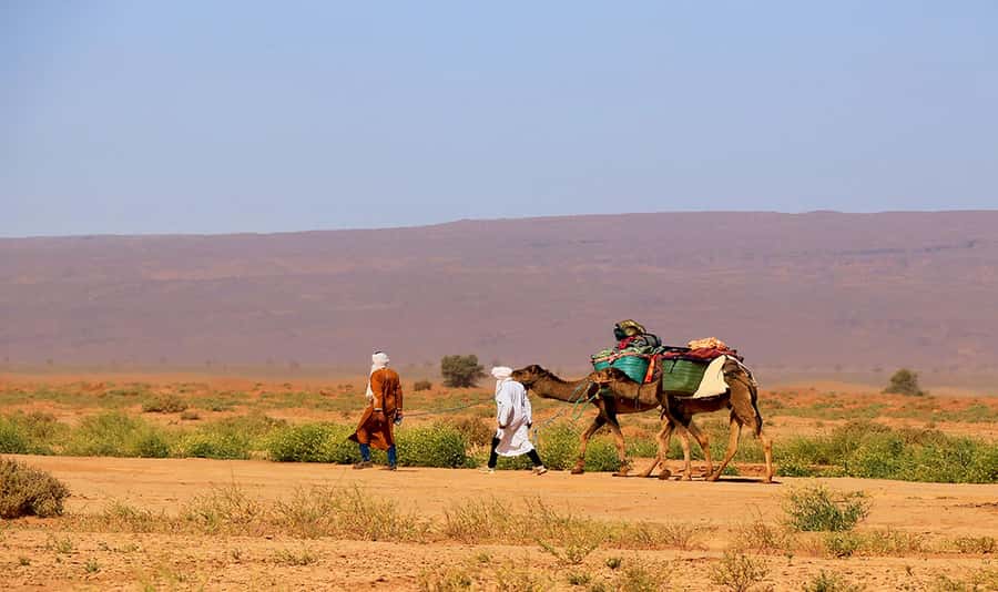 M’Hamid: 3-Day Sahara Trek & 4x4 Continuation to Erg Chigaga - Camps, Food, and the Comfort-Level You Can Count On
