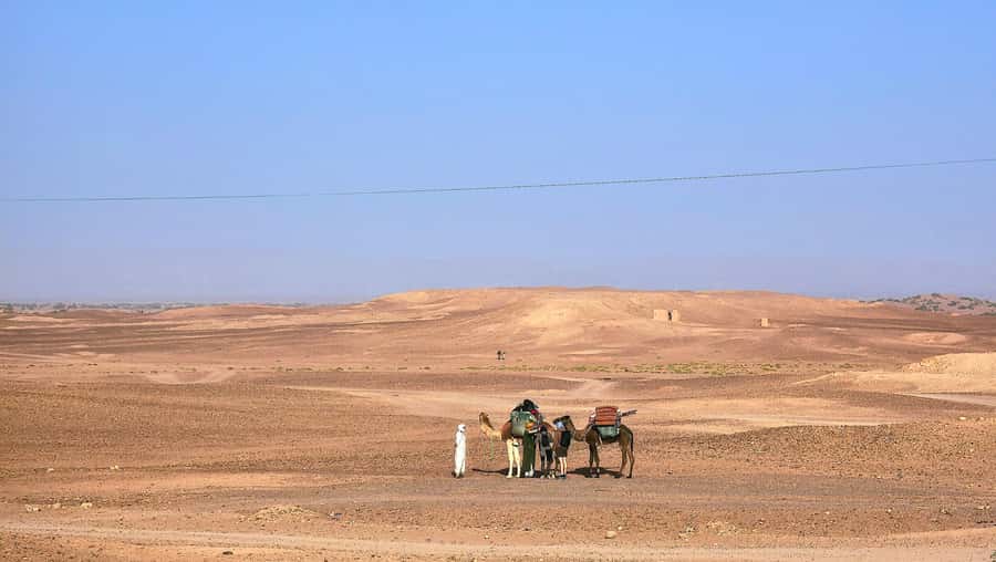 M’Hamid: 3-Day Sahara Trek & 4x4 Continuation to Erg Chigaga - Guides and Animals: What Makes the Trip Feel Like More Than Transport