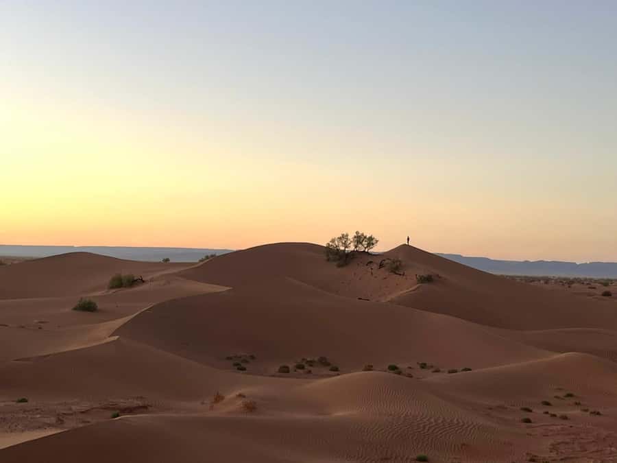 M’Hamid: 3-Day Sahara Trek & 4x4 Continuation to Erg Chigaga - Price and Value: Is $382 Reasonable for 3 Days in the Desert?