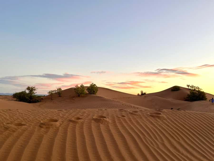 M’Hamid: 3-Day Sahara Trek & 4x4 Continuation to Erg Chigaga - Who Should Book This M’hamid Desert Trek (And Who Should Skip It)