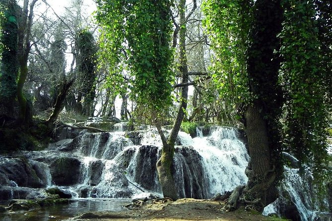 Middle Atlas day Trip from Fez - Getting Out of Fez: The 9:00 am Start and How the Day Flows