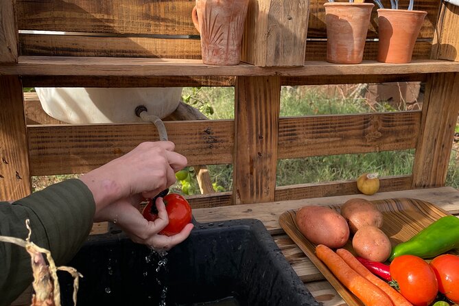Moroccan Cooking Class and Eco-Farm Visit - Full day - Finding the place: Sidi Boushab meet-up and the private feel