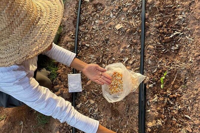 Moroccan Cooking Class and Eco-Farm Visit - Full day - Feeding animals and farm-family time: the kind of moments kids remember