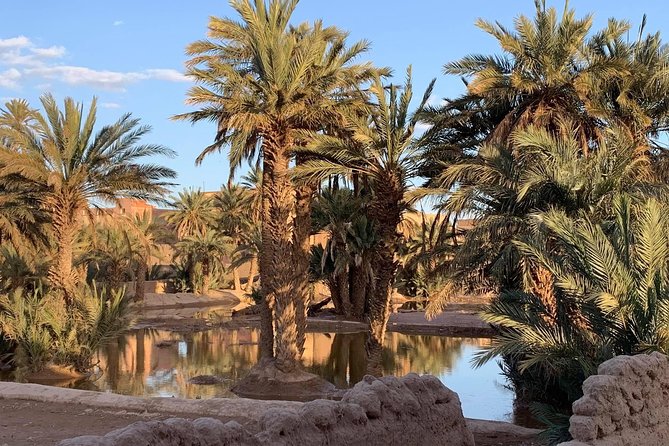 Moroccan Desert 3-Day Luxury Tour from Marrakech - Marrakech return day: long drive, smart stops, and how to cope