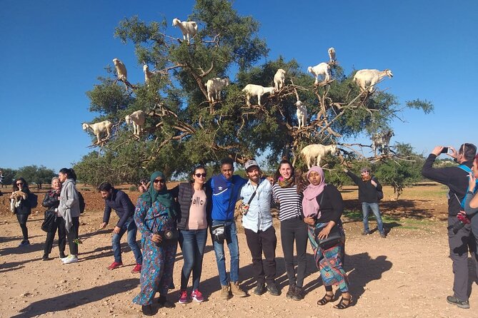 Morocco 11 Days Tour from Casablanca via Sahara Desert - Kasbah Country to Marrakech: Rose Valley Stops and Tizi n’Tichka Pass