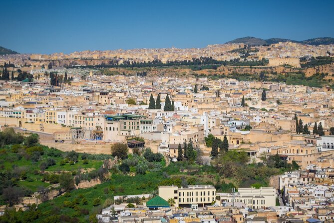 Morocco 12 Days Tour From Marrakech - Essaouira’s UNESCO walls and fishing port life: Days 10–11
