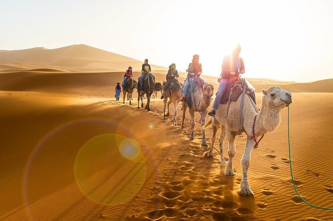 Morocco 3 Day Tour :Group Excursión from Marrakech to Merzouga - Day 3: sunrise over the dunes and the long return to Marrakech