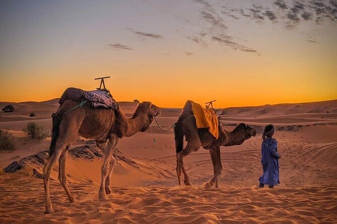 Morocco 3 Day Tour :Group Excursión from Marrakech to Merzouga - Comfort, group dynamics, and guides: the staff factor