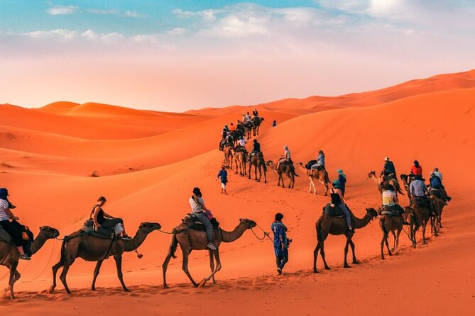 Morocco 3 Day Tour :Group Excursión from Marrakech to Merzouga - Who this tour suits best (and who should rethink it)
