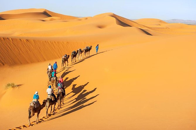 Morocco: 3 days desert tour from Marrakech - Dades Canyon and Todra Gorge: Guided Walking That Actually Adds Context