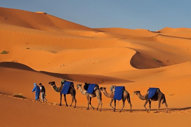 Morocco: 3 days desert tour from Marrakech - What Your Driver/Guide Really Brings to the Trip