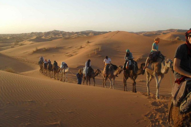Morocco: 3 days desert tour from Marrakech - Who This Tour Is Best For (And Who Should Think Twice)
