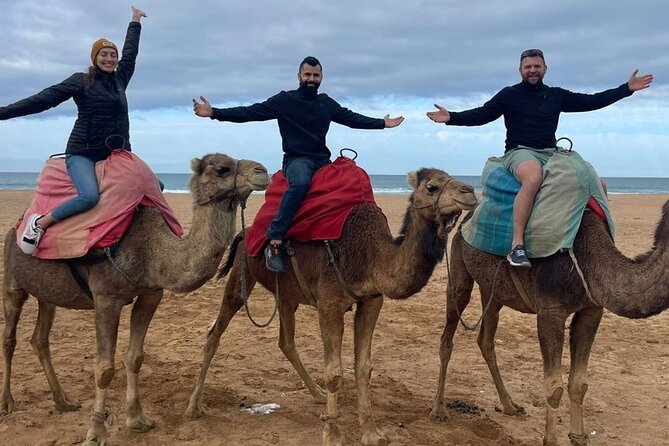 Morocco Day Trip from Spain: Private, Luxury & All-Inclusive - Getting From the Spanish Side to Tangier Without the Port Headache