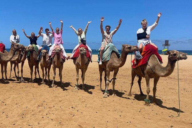 Morocco Day Trip from Spain: Private, Luxury & All-Inclusive - Medina of Tangier: Souks, Bakeries, Hammams, and Time for Mint Tea