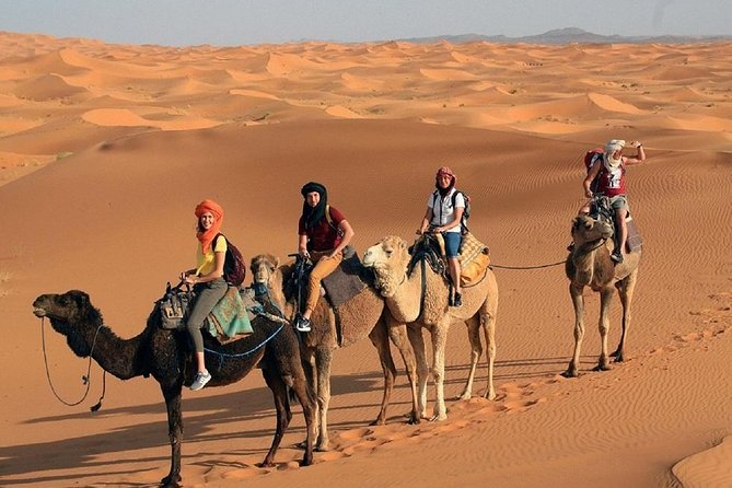 Morocco desert tour 4 days from Marrakech - Price and logistics: is $500.19 a fair deal?