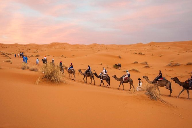 Morocco desert tours from Marrakech 3 days - Erg Chebbi Camel Ride: Sunset and Sunrise Without the Guesswork