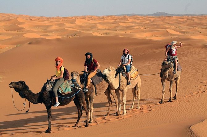 Morocco desert tours from Marrakech 3 days - Day 3: Draa Valley Return Through Nqob to Marrakech