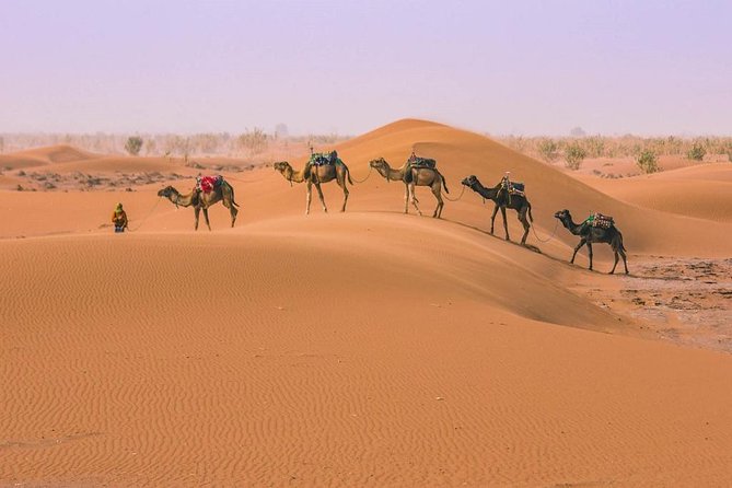Morocco desert tours from Marrakech 3 days - Day 1 Night in a Kasbah: What to Expect From the Included Stay